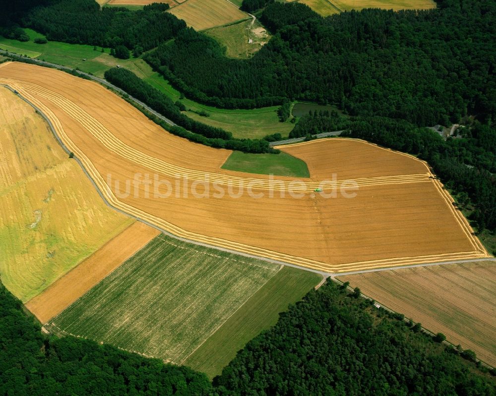Luftbild Birkenfeld - Baum- und Feldstrukturen bei Birkenfeld im Bundesland Rheinland-Pfalz