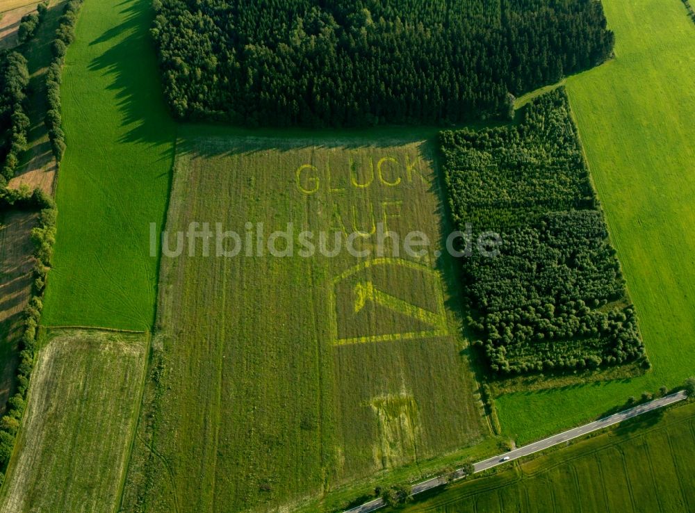 Luftaufnahme Olbernhau - Baum- und Feldstrukturen bei Olbernhau im Bundesland Sachsen