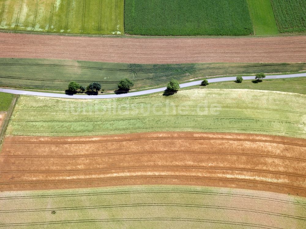 Luftaufnahme Stühlingen OT Weizen - Baum- und Feldstrukturen bei Weizen im Bundesland Baden-Württemberg