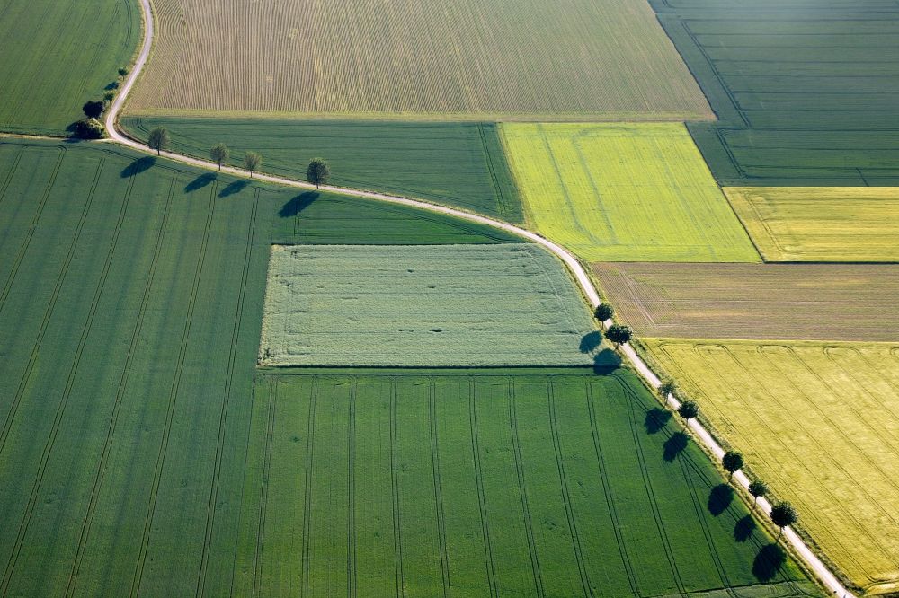 Luftaufnahme Welver - Baum- und Feldstrukturen in Welver im Bundesland Nordrhein-Westfalen