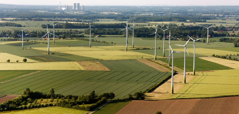 Luftbild Welver - Baum- und Feldstrukturen in Welver im Bundesland Nordrhein-Westfalen
