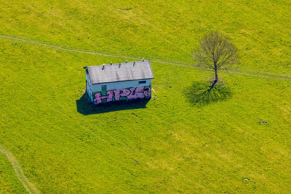 Luftbild Wetter (Ruhr) - Baum und Hütte mit Graffiti auf einer Wiese in Wetter (Ruhr) im Bundesland Nordrhein-Westfalen, Deutschland