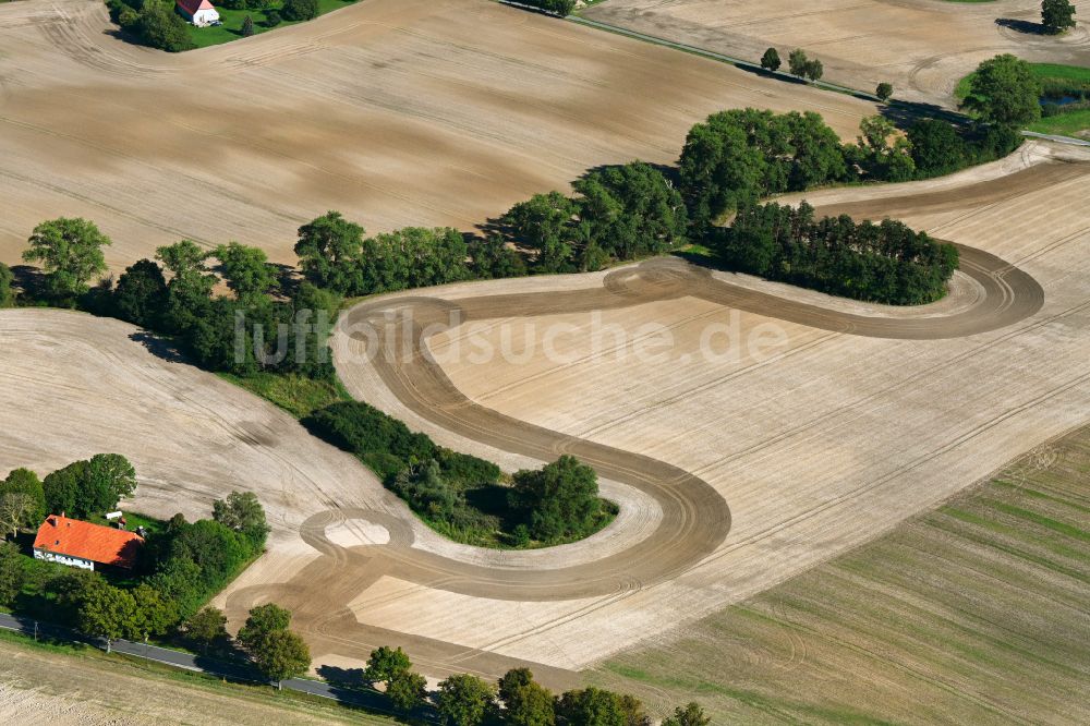 Philippshof von oben - Baum- Insel auf einem abgeernteten Feld in Philippshof im Bundesland Mecklenburg-Vorpommern, Deutschland