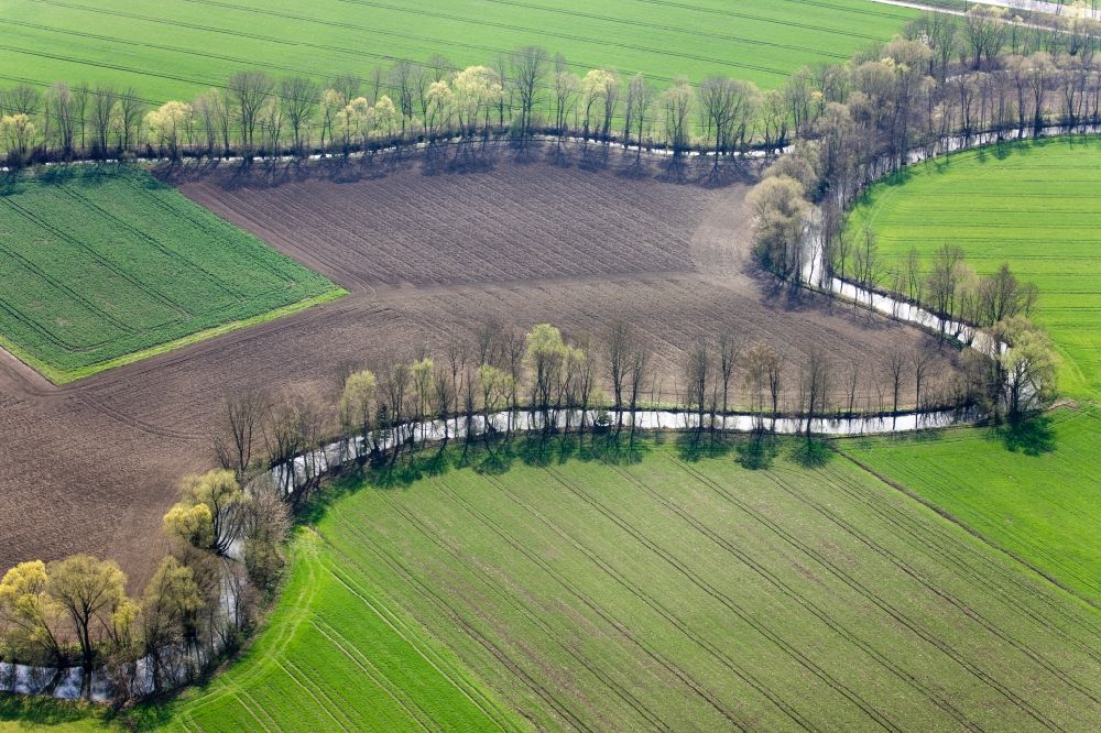 Luftaufnahme Eching - Baum- Insel auf einem Feld in Eching im Bundesland Bayern