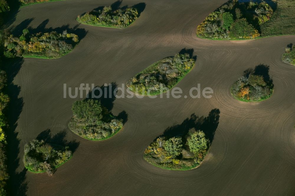Luftaufnahme Wimmelburg - Baum- Insel auf einem Feld in Wimmelburg im Bundesland Sachsen-Anhalt, Deutschland