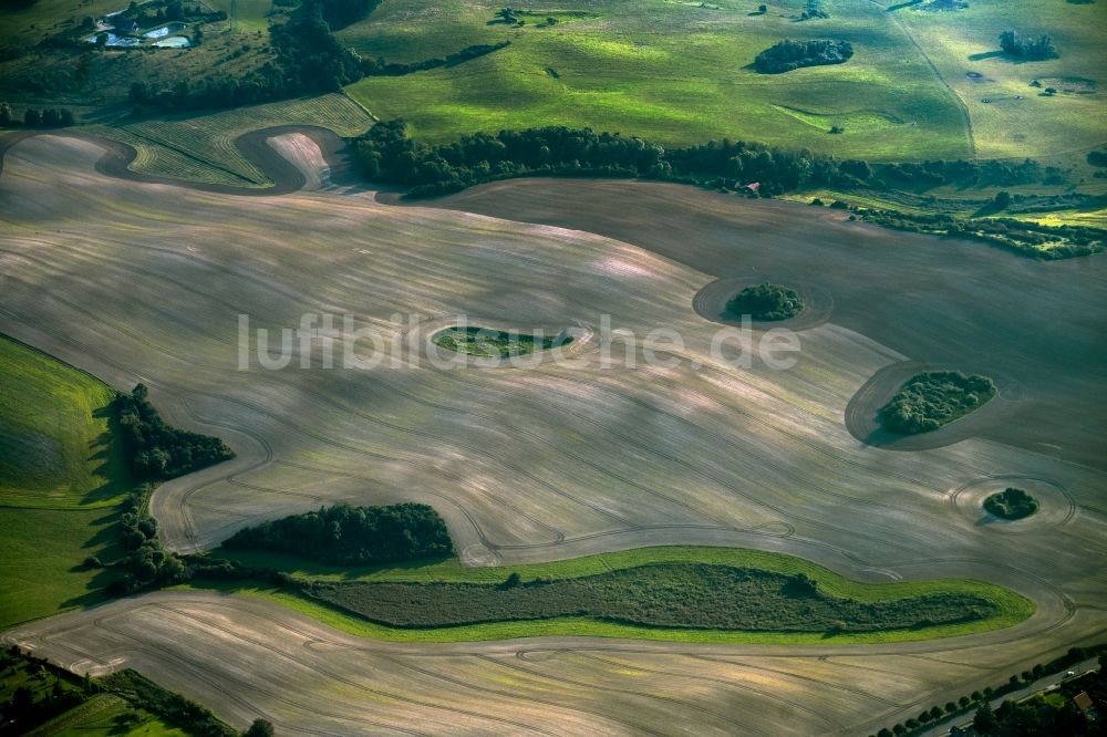 Luftaufnahme Gerswalde - Baum- Insel auf einem Getreide- Feld bei Groß Fredenwalde in Gerswalde im Bundesland Brandenburg, Deutschland