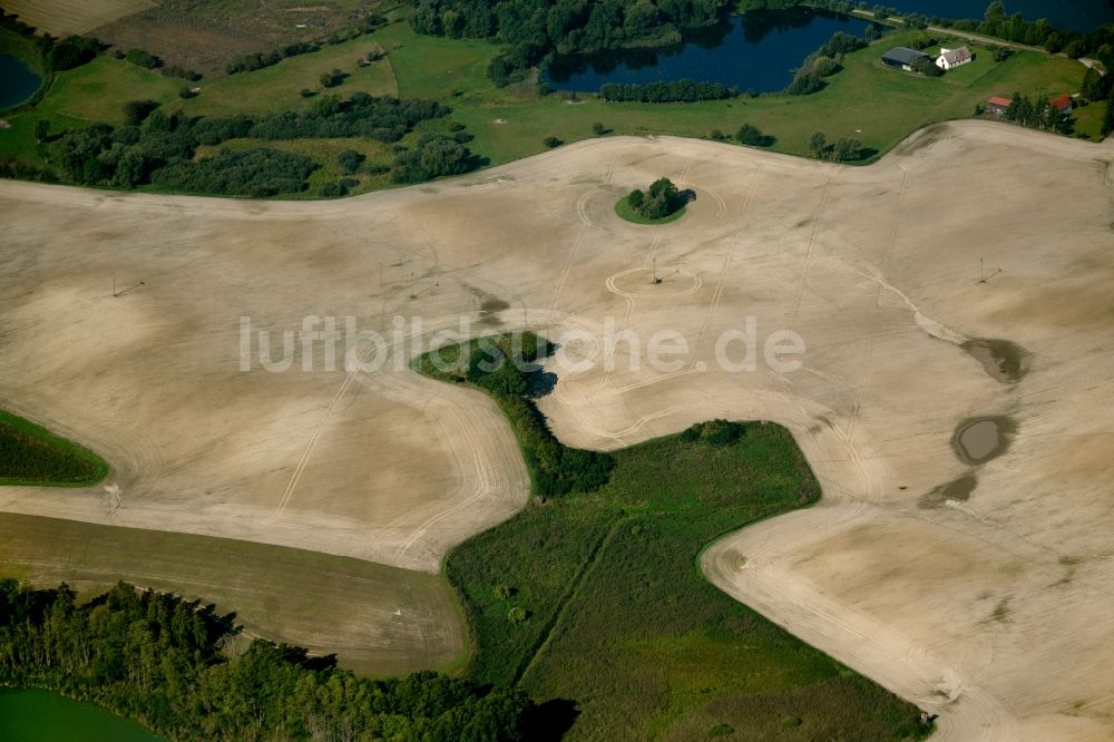 Luftbild Murchin - Baum- Insel auf einem Getreide- Feld bei Lentschow in Murchin im Bundesland Mecklenburg-Vorpommern, Deutschland