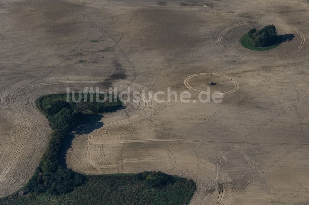 Luftaufnahme Murchin - Baum- Insel auf einem Getreide- Feld bei Lentschow in Murchin im Bundesland Mecklenburg-Vorpommern, Deutschland