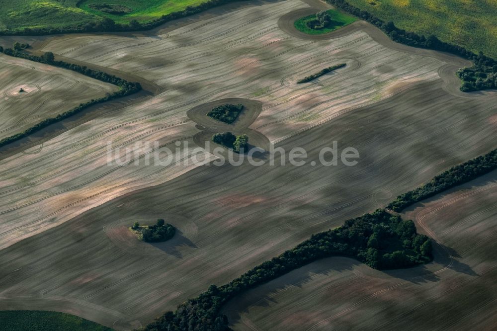 Gerswalde aus der Vogelperspektive: Baum- Insel auf einem Getreide- Feld in Gerswalde im Bundesland Brandenburg, Deutschland