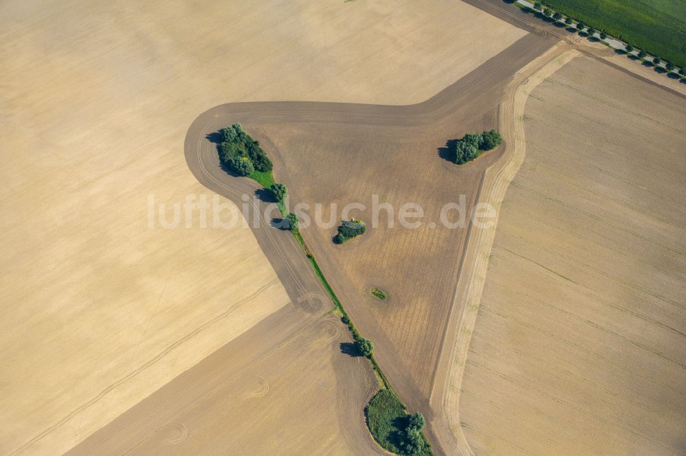 Luftbild Neuenpleen - Baum- Inseln auf einem Feld in Neuenpleen im Bundesland Mecklenburg-Vorpommern, Deutschland
