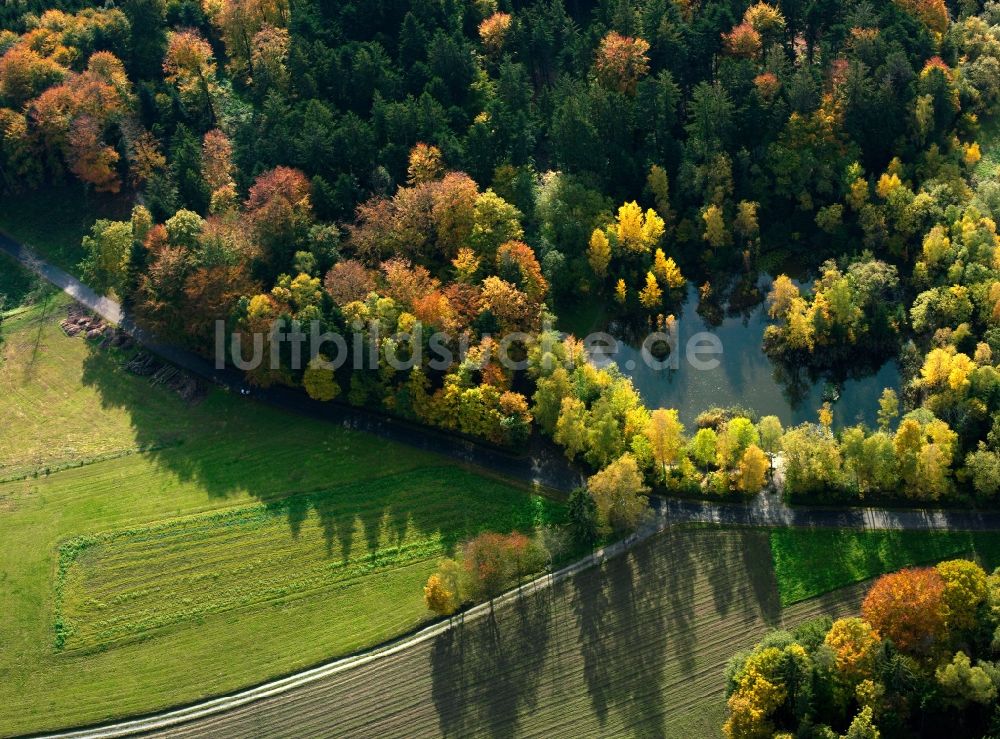 Luftaufnahme Waiblingen - Baum - Landschaft mit Feld - Strukturen auf spät- sommerlich , abgeernteten Getreide - Feldern bei Waiblingen im Bundesland Baden-Württemberg