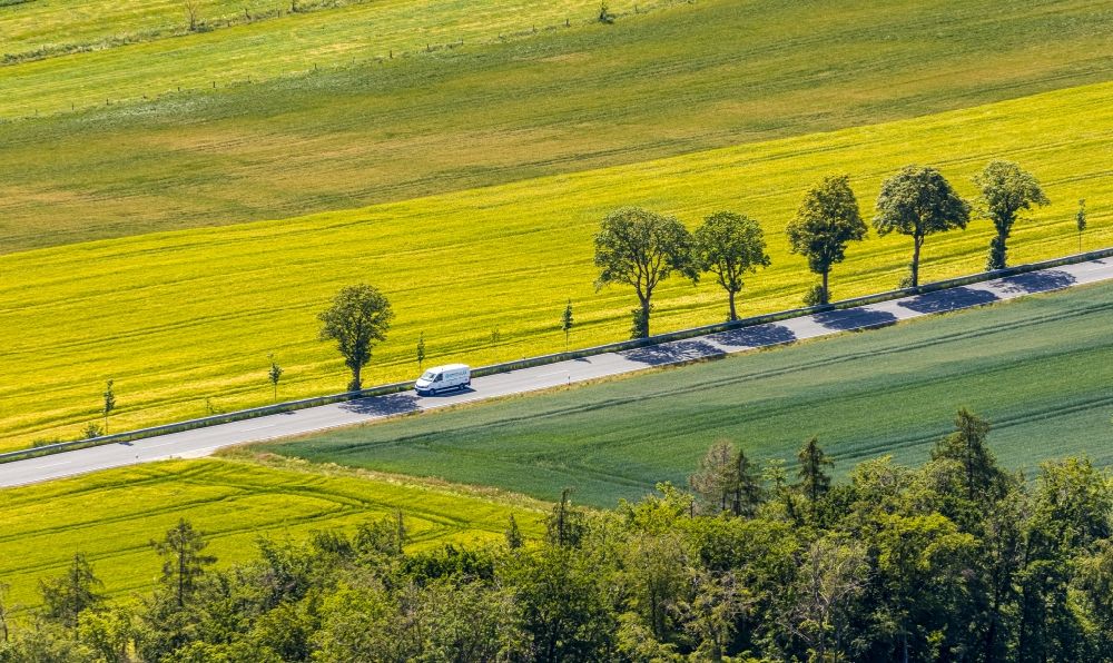 Luftbild Langenholthausen - Baum mit Schattenbildung durch Lichteinstrahlung auf einem Feld in Langenholthausen im Bundesland Nordrhein-Westfalen, Deutschland