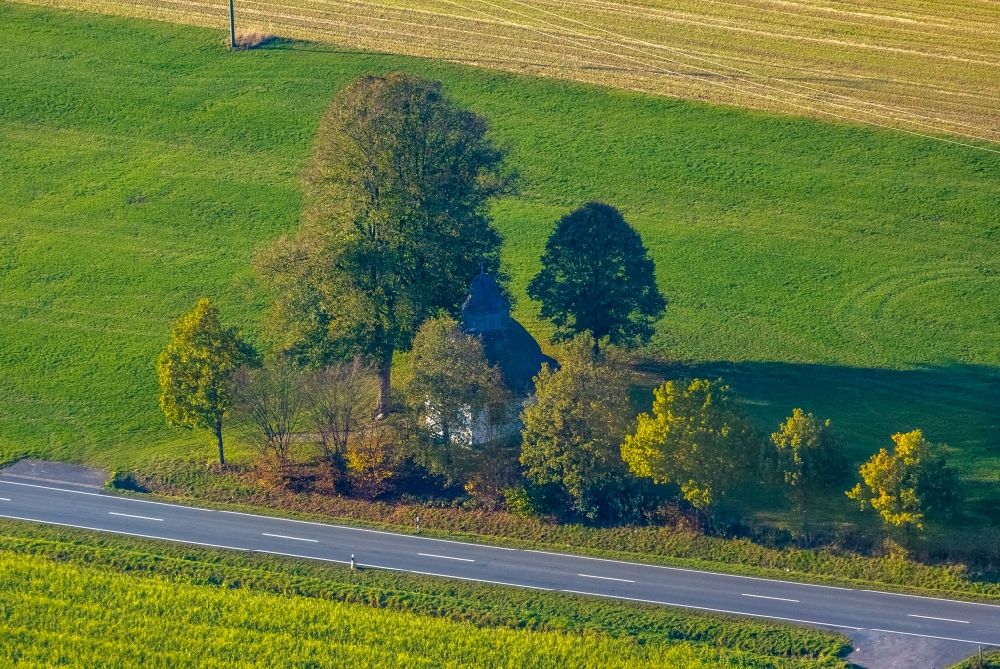 Meschede aus der Vogelperspektive: Baum mit Schattenbildung durch Lichteinstrahlung auf einem Feld in Meschede im Bundesland Nordrhein-Westfalen, Deutschland