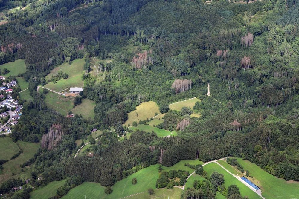 Luftbild Wehr - Baumbestand Waldschäden durch Borkenkäferbefall in einem Waldgebiet in Wehr im Bundesland Baden-Württemberg, Deutschland