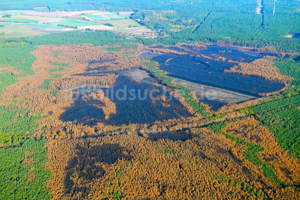 Luftbild Klausdorf - Baumfällarbeiten im vernichteter Baumbestand in einem Waldgebiet in Klausdorf im Bundesland Brandenburg, Deutschland