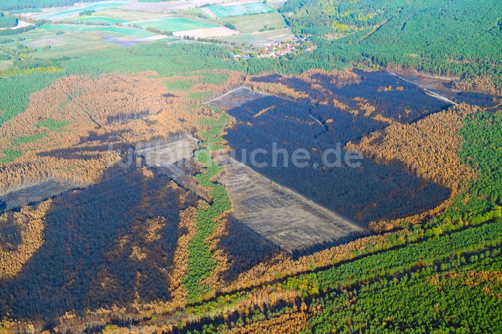 Luftaufnahme Klausdorf - Baumfällarbeiten im vernichteter Baumbestand in einem Waldgebiet in Klausdorf im Bundesland Brandenburg, Deutschland