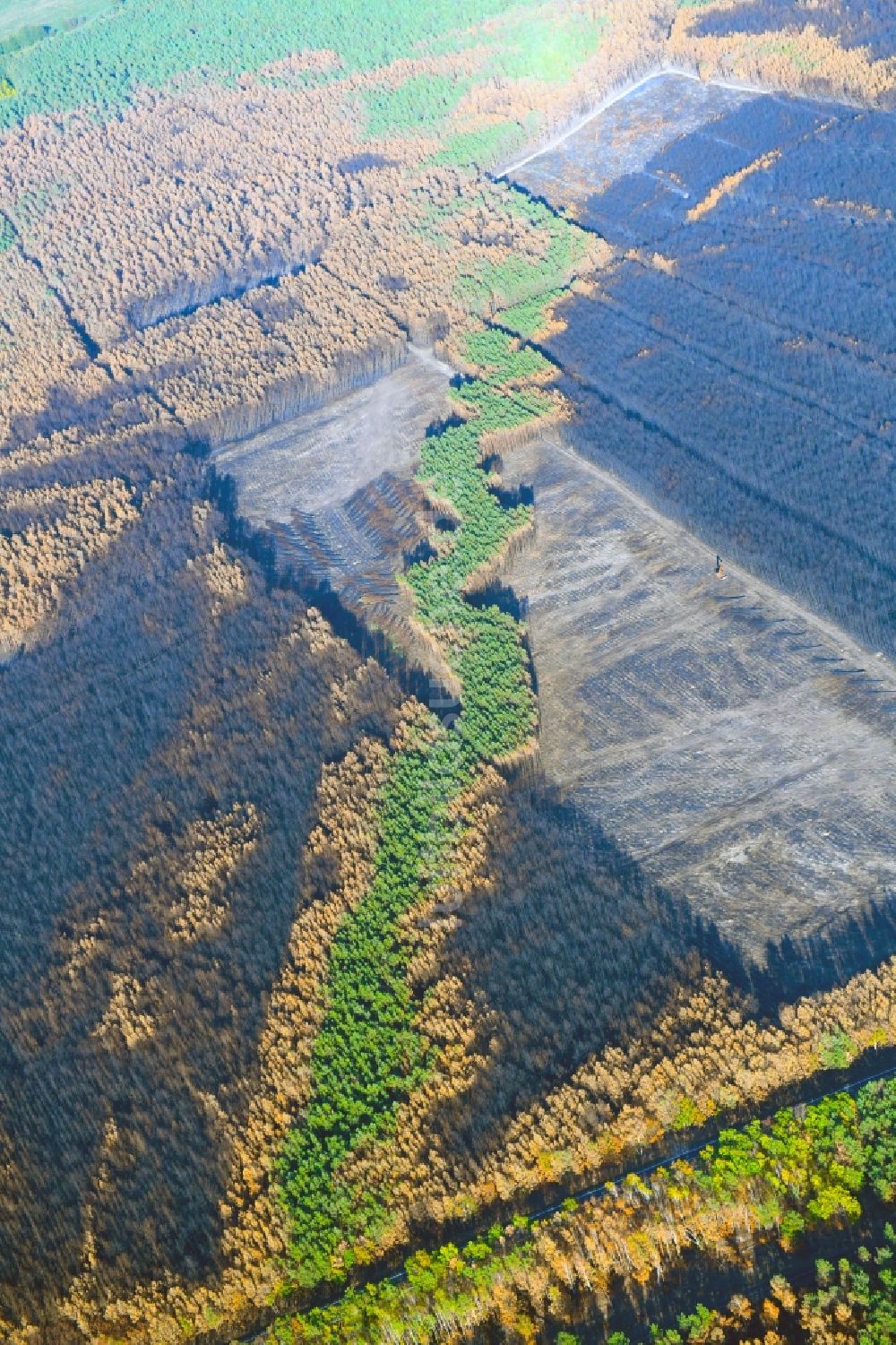 Luftbild Klausdorf - Baumfällarbeiten im vernichteter Baumbestand in einem Waldgebiet in Klausdorf im Bundesland Brandenburg, Deutschland