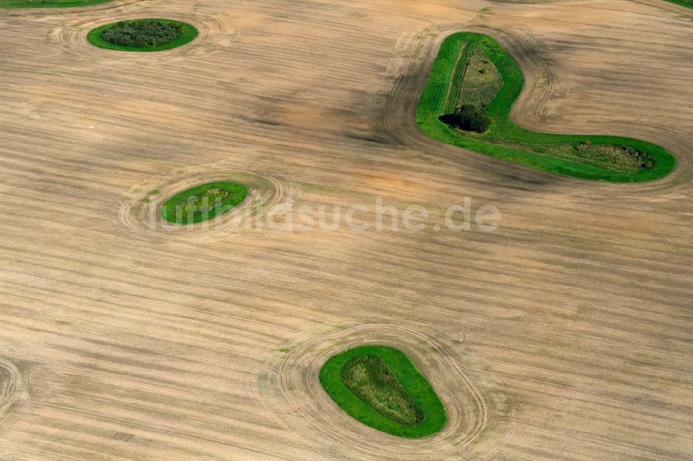 Tützpatz aus der Vogelperspektive: Bauminsel auf einem Feld in Tützpatz im Bundesland Mecklenburg-Vorpommern, Deutschland
