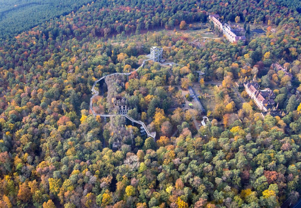 Luftaufnahme Beelitz - Baumkronenpfad in Beelitz im Bundesland Brandenburg