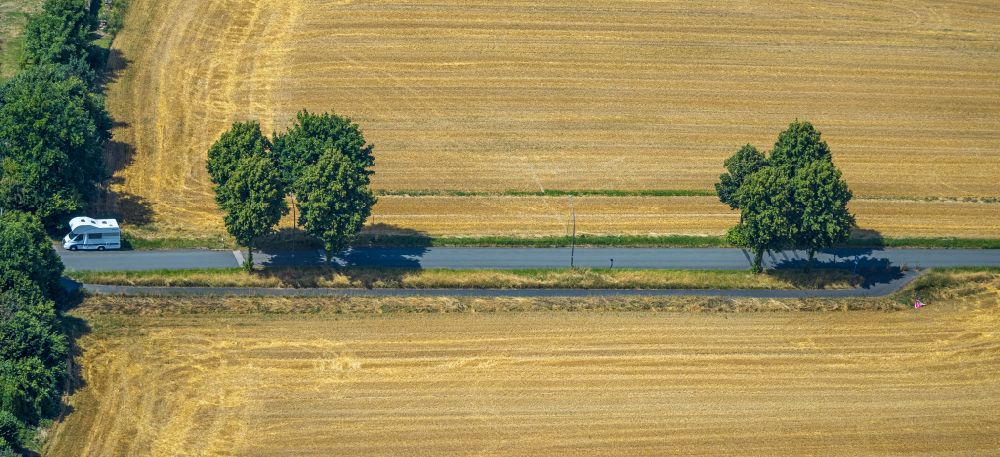 Luftaufnahme Castrop-Rauxel - Baumreihe an einem Feldrand in Castrop-Rauxel im Bundesland Nordrhein-Westfalen, Deutschland