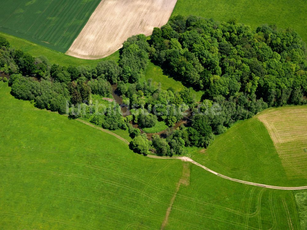 Luftbild Gutenzell-Hürbel - Baumreihe an einem Feldrand in Gutenzell-Hürbel im Bundesland Baden-Württemberg, Deutschland
