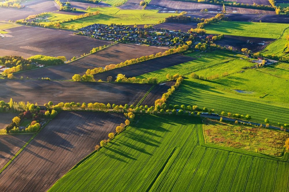 Luftbild Hammah - Baumreihe an einem Feldrand in Hammah im Bundesland Niedersachsen, Deutschland