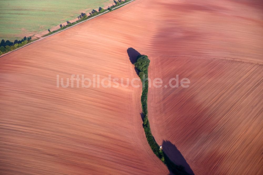 Luftaufnahme Hochstedt - Baumreihe an einem Feldrand in Hochstedt im Bundesland Thüringen, Deutschland
