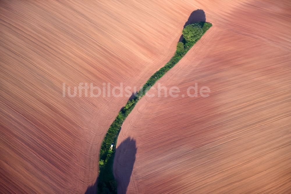 Luftbild Hochstedt - Baumreihe an einem Feldrand in Hochstedt im Bundesland Thüringen, Deutschland
