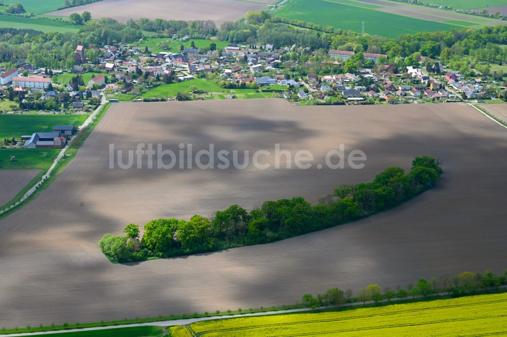 Iden von oben - Baumreihe in einem Feldrand in Iden im Bundesland Sachsen-Anhalt, Deutschland