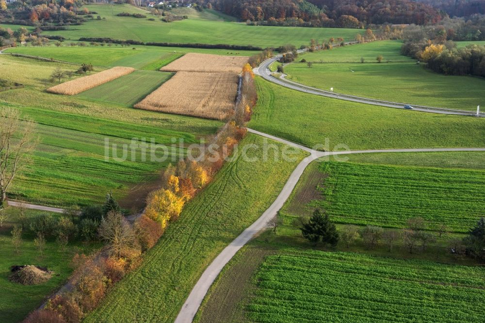 Leonberg aus der Vogelperspektive: Baumreihe an einem Feldrand in Leonberg im Bundesland Baden-Württemberg