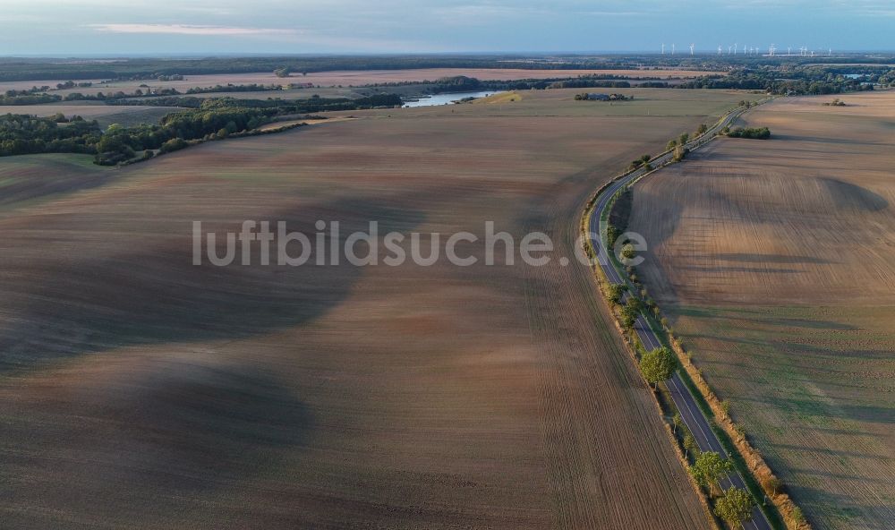 Luftbild Lietzen - Baumreihe an einem Feldrand in Lietzen im Bundesland Brandenburg, Deutschland