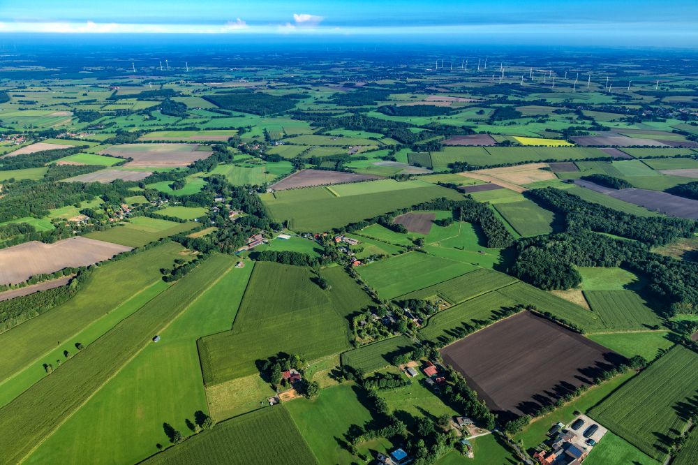 Luftaufnahme Reith - Baumreihe an einem Feldrand in Reith im Bundesland Niedersachsen, Deutschland