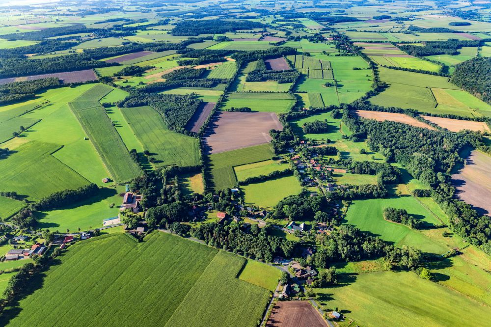 Luftbild Reith - Baumreihe an einem Feldrand in Reith im Bundesland Niedersachsen, Deutschland
