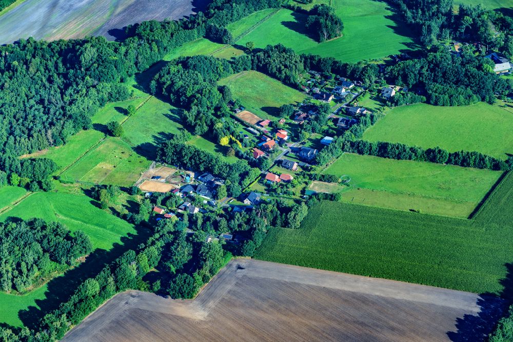 Reith von oben - Baumreihe an einem Feldrand in Reith im Bundesland Niedersachsen, Deutschland