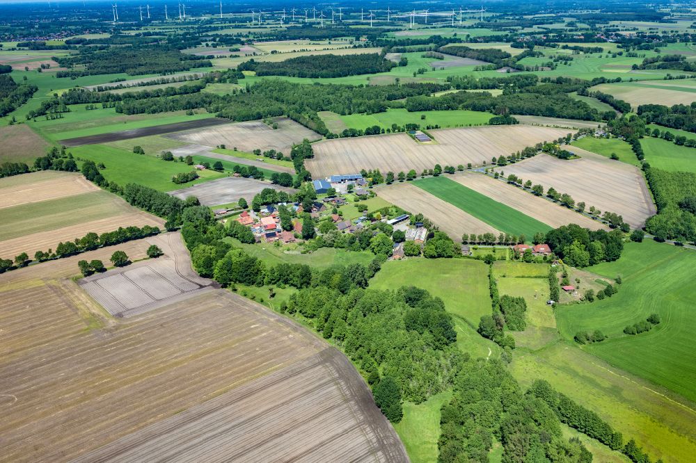 Luftbild Reith - Baumreihe an einem Feldrand in Reith im Bundesland Niedersachsen, Deutschland