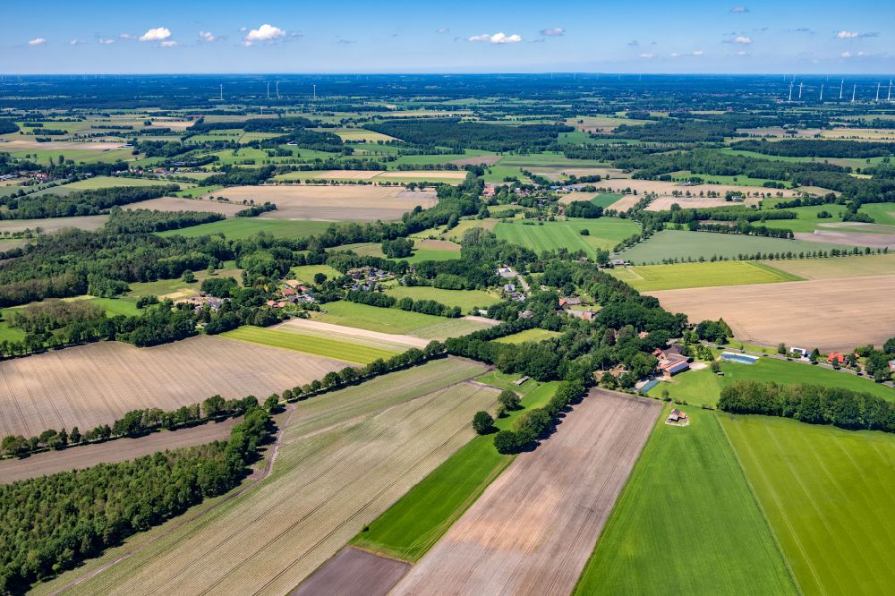 Luftaufnahme Reith - Baumreihe an einem Feldrand in Reith im Bundesland Niedersachsen, Deutschland