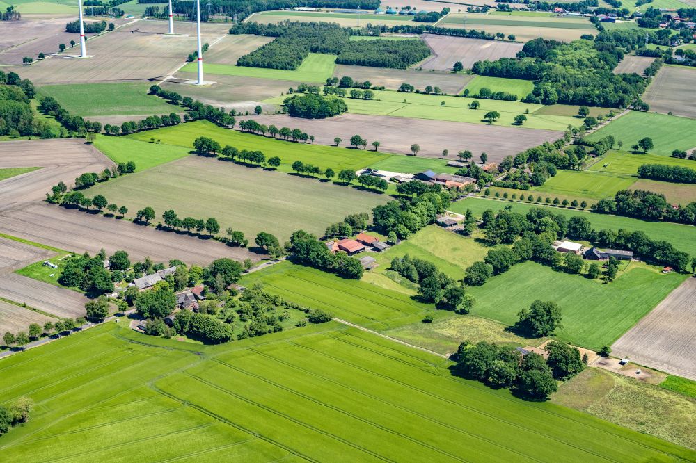 Reith aus der Vogelperspektive: Baumreihe an einem Feldrand in Reith im Bundesland Niedersachsen, Deutschland