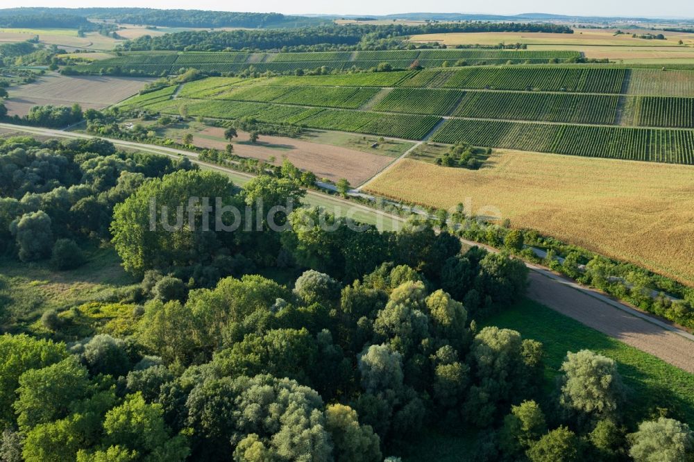 Luftbild Sulzfeld - Baumreihe an einem Feldrand in Sulzfeld im Bundesland Baden-Württemberg