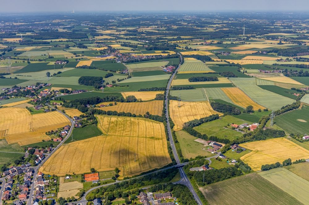 Luftbild Hamm - Baumreihe an einer Landstraße an einem Feldrand in Hamm im Bundesland Nordrhein-Westfalen, Deutschland