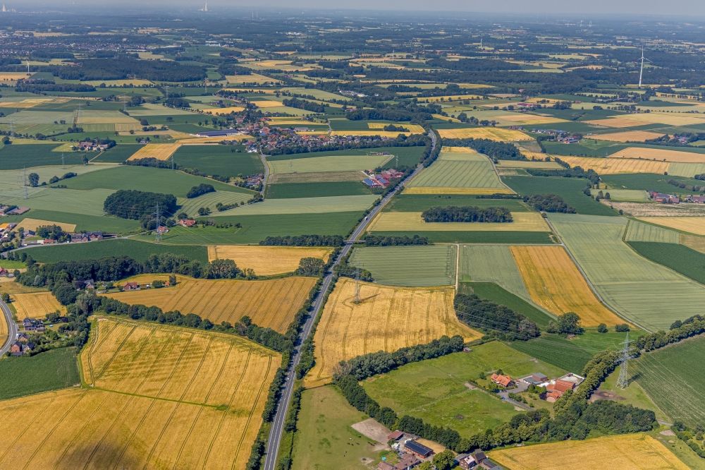 Luftaufnahme Hamm - Baumreihe an einer Landstraße an einem Feldrand in Hamm im Bundesland Nordrhein-Westfalen, Deutschland