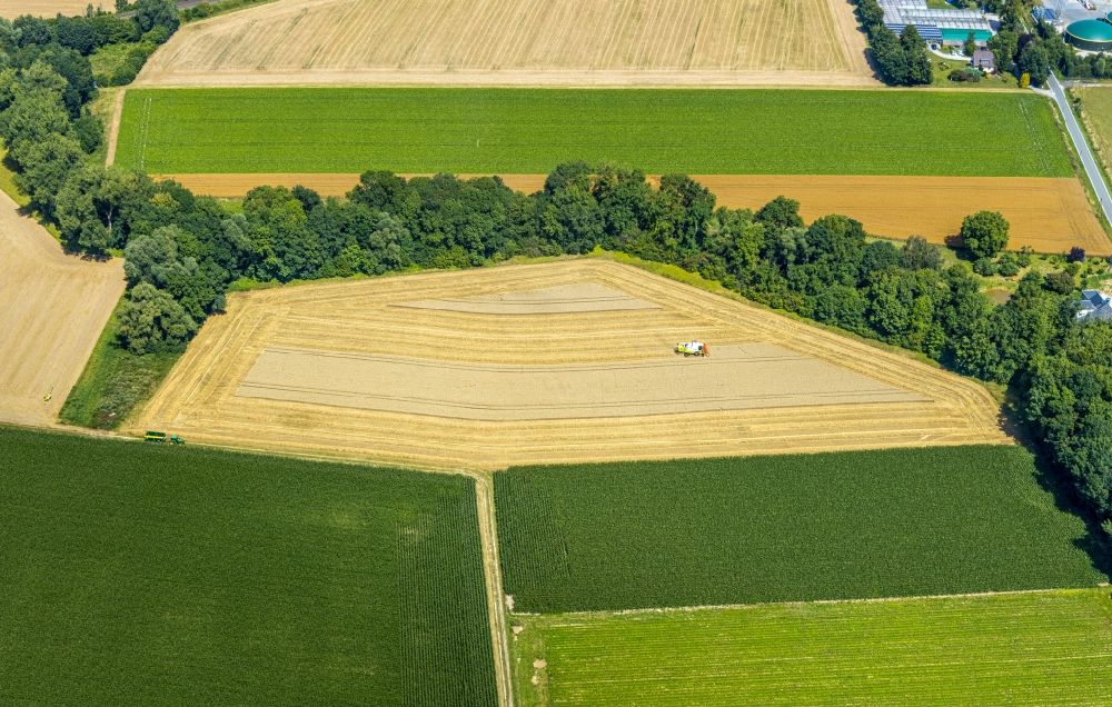 Luftbild Hattrop - Baumreihe an einer Landstraße an einem Feldrand in Hattrop im Bundesland Nordrhein-Westfalen, Deutschland
