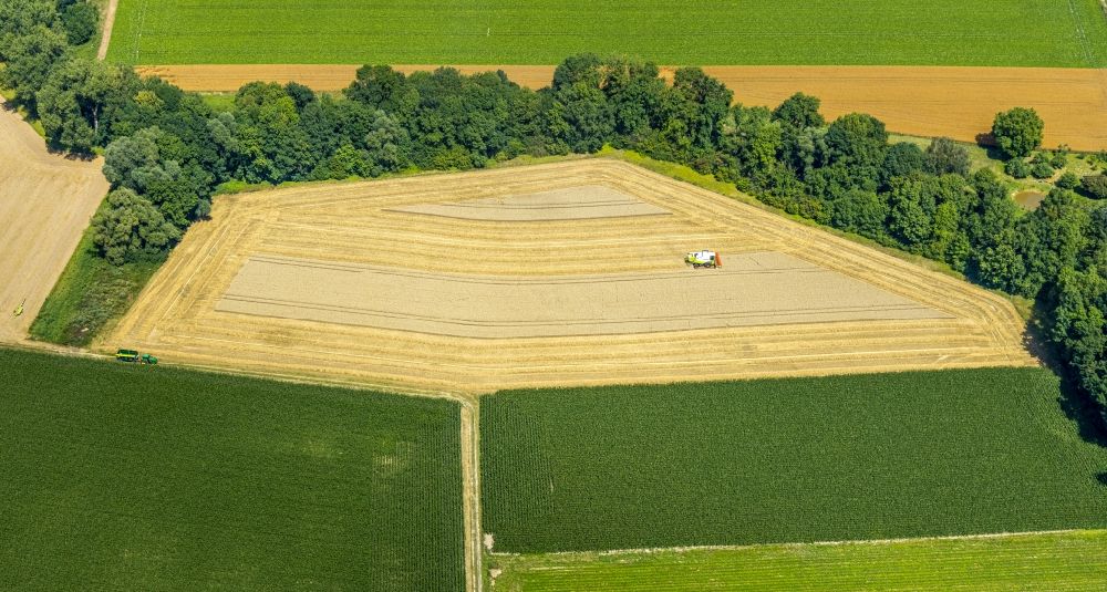 Luftaufnahme Hattrop - Baumreihe an einer Landstraße an einem Feldrand in Hattrop im Bundesland Nordrhein-Westfalen, Deutschland