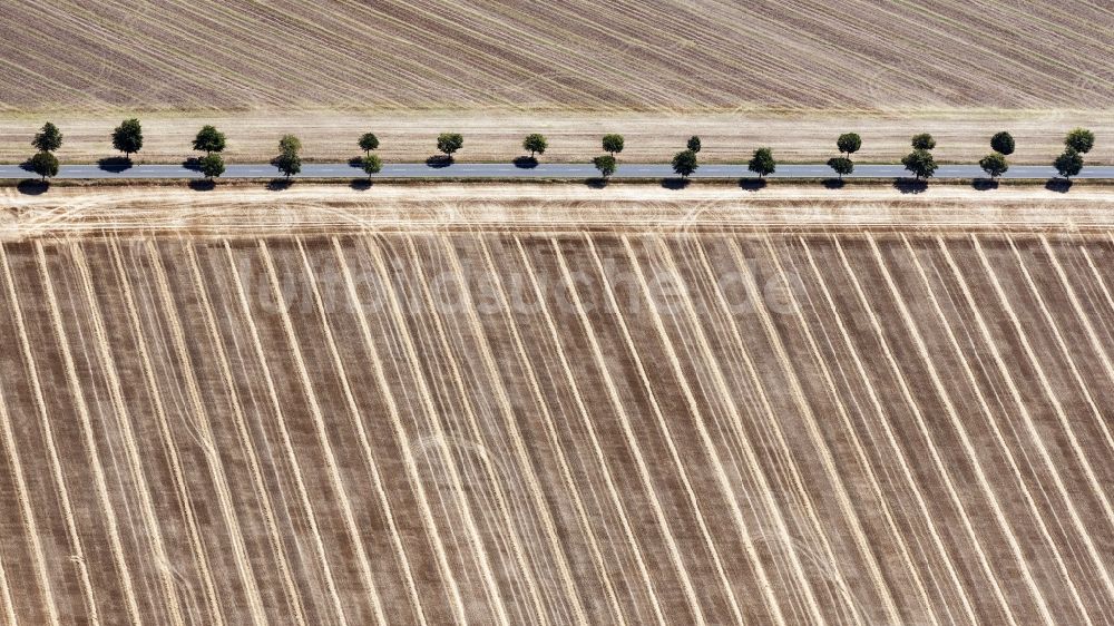 Luftaufnahme Landsberg - Baumreihe an einer Landstraße an einem Feldrand in Landsberg im Bundesland Sachsen-Anhalt, Deutschland