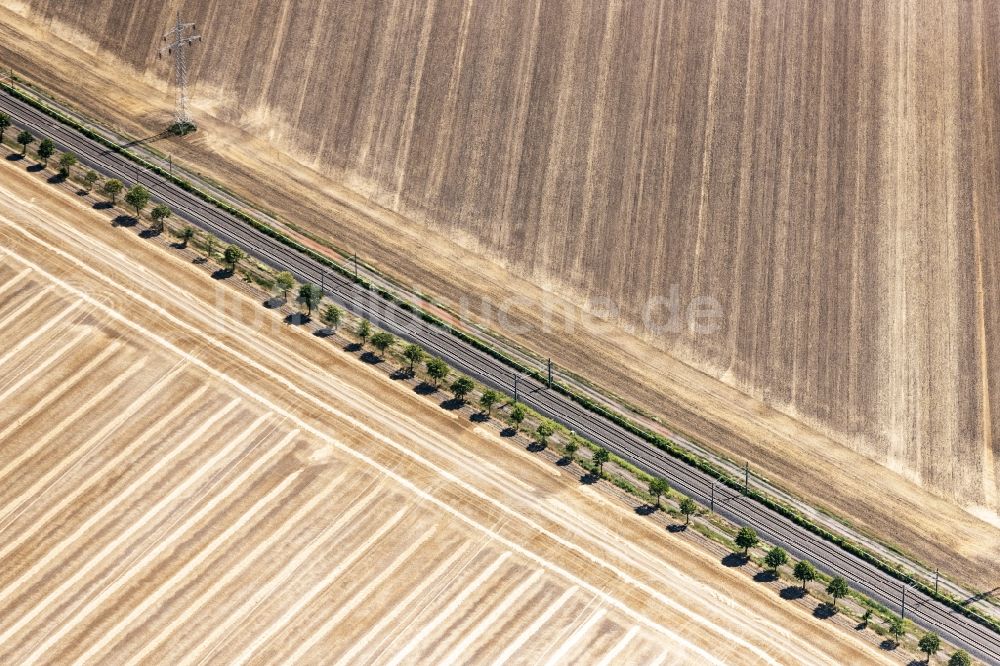 Luftbild Landsberg - Baumreihe an einer Landstraße an einem Feldrand in Landsberg im Bundesland Sachsen-Anhalt, Deutschland
