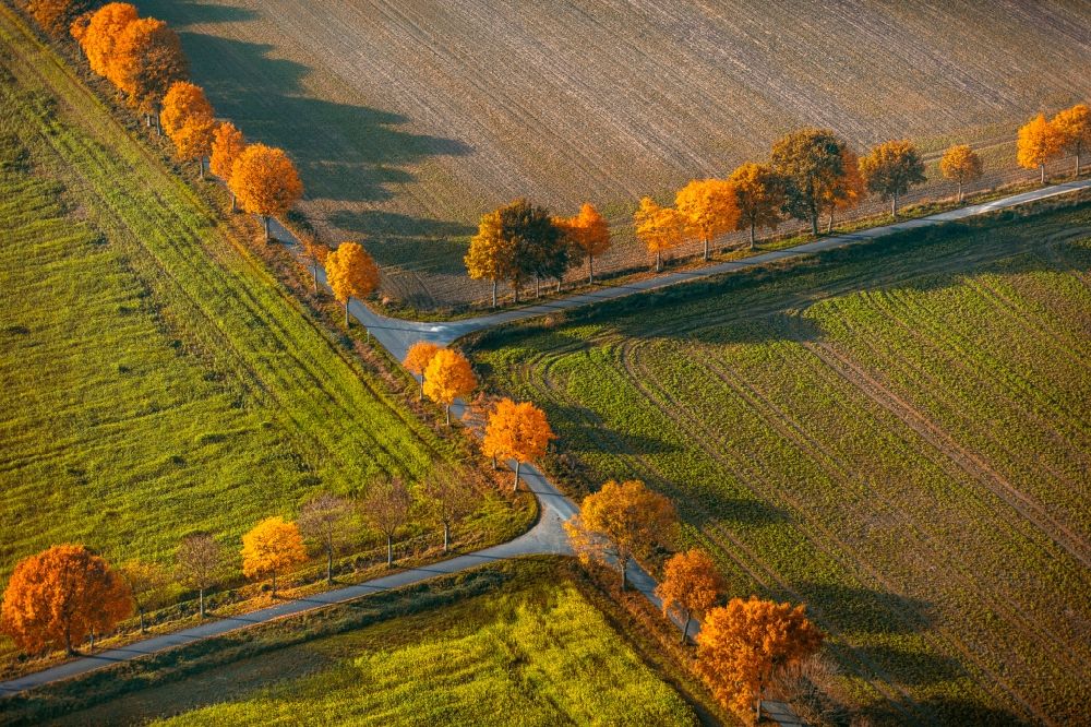 Luftaufnahme Nottuln - Baumreihe an einer Landstraße an einem Feldrand in Nottuln im Bundesland Nordrhein-Westfalen