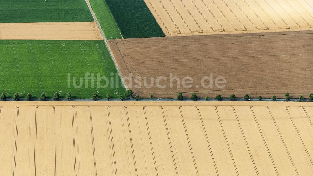 Luftbild Pattensen - Baumreihe an einer Landstraße an einem Feldrand in Pattensen im Bundesland Niedersachsen, Deutschland