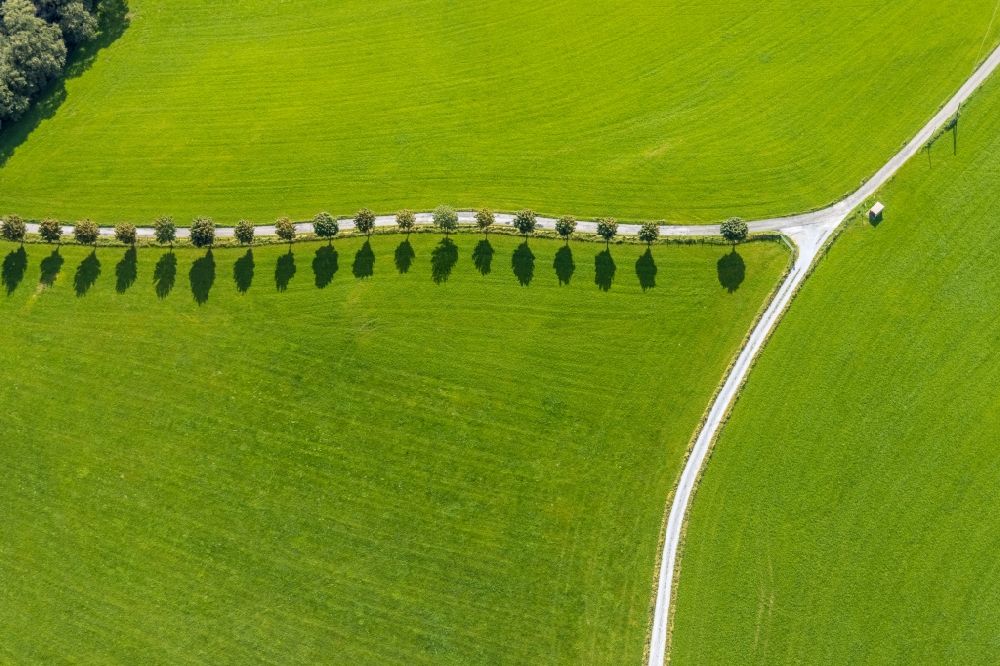 Luftbild Rüggeberg - Baumreihe an einer Landstraße an einem Feldrand in Rüggeberg im Bundesland Nordrhein-Westfalen, Deutschland