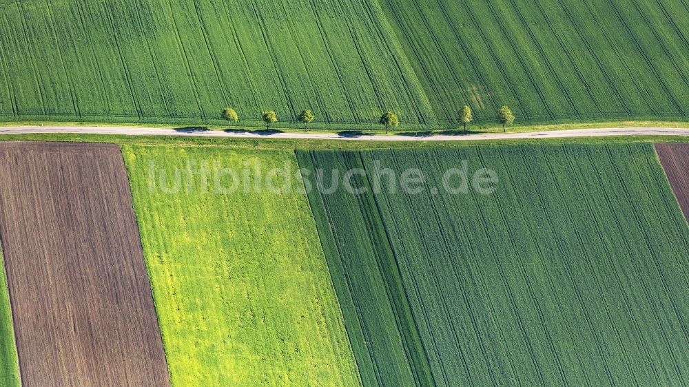 Luftaufnahme Wechingen - Baumreihe an einer Landstraße an einem Feldrand in Wechingen im Bundesland Bayern, Deutschland