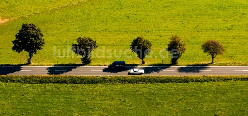 Westende aus der Vogelperspektive: Baumreihe an einer Landstraße an einem Feldrand in Westende im Bundesland Nordrhein-Westfalen, Deutschland