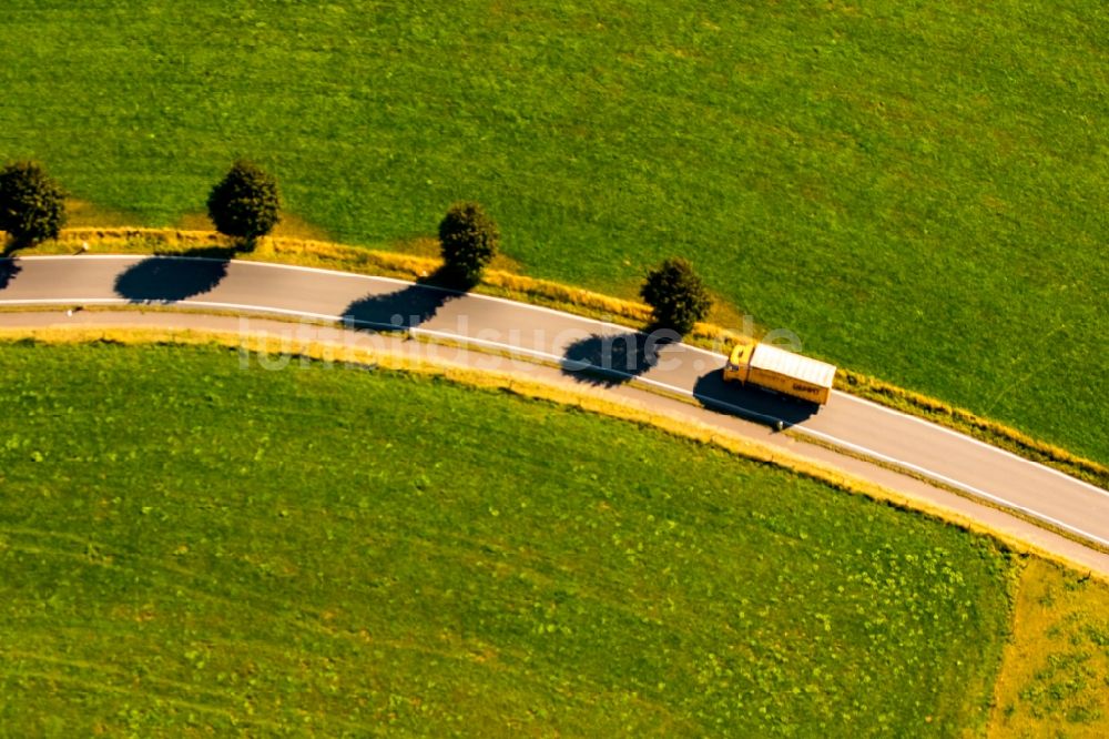 Luftbild Westende - Baumreihe an einer Landstraße an einem Feldrand in Westende im Bundesland Nordrhein-Westfalen, Deutschland